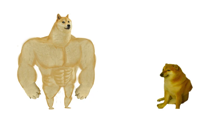 Buff Doge vs. Cheems