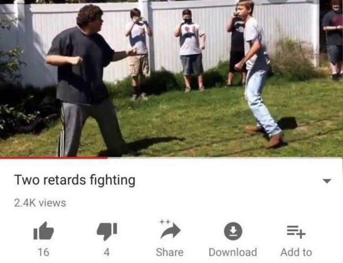 Two Retards Fighting