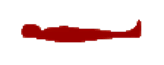 Saddam Hussein Hiding Place