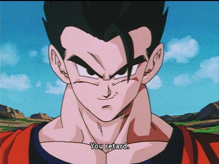 Gohan's You Retard