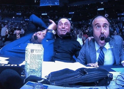 UFC 248 Commentators Reaction
