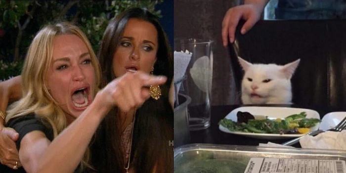 Woman Yelling at a Cat